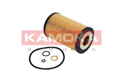 KAMOKA F111101 Číslo výrobce: 263003C250. EAN: 5908242683256.