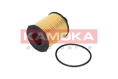 KAMOKA F111501 Číslo výrobce: 2503100. EAN: 5908242683331.