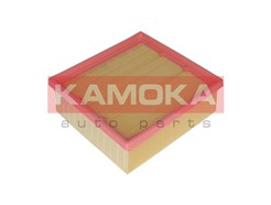 KAMOKA F222001