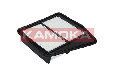 KAMOKA F225501 EAN: 5901779815572.