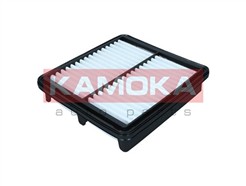 KAMOKA F257001