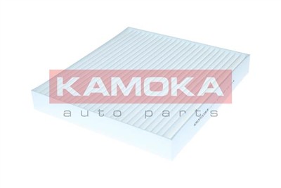 KAMOKA F427701