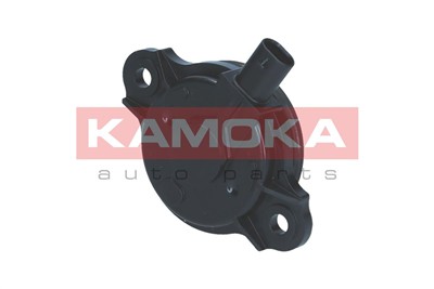 KAMOKA RA061