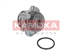 KAMOKA T0033