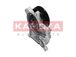 KAMOKA T0048