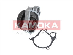 KAMOKA T0061