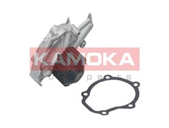KAMOKA T0065