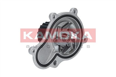 KAMOKA T0076 EAN: 5901779824758.