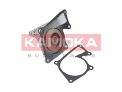 KAMOKA T0101