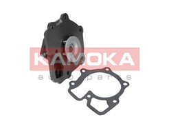 KAMOKA T0143
