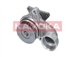 KAMOKA T0157