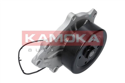 KAMOKA T0176 EAN: 5901779825755.