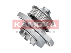 KAMOKA T0254