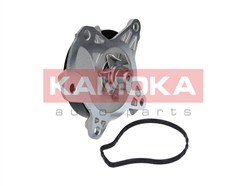 KAMOKA T0262