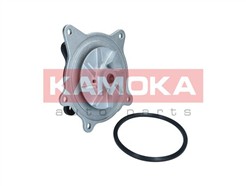 KAMOKA T0318