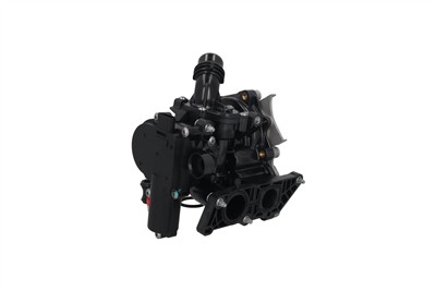 KAMOKA T0325