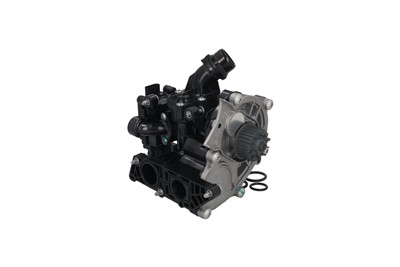 KAMOKA T0325
