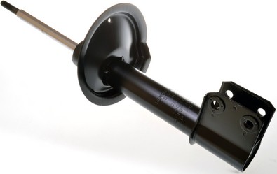 DENCKERMANN DSB100G EAN: 5901225761743.