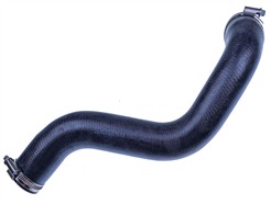 DENCKERMANN F100176