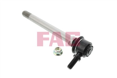 FAG 818 0125 10 EAN: 4014870404499.