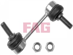 FAG 818 0300 10