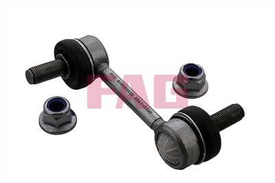 FAG 818 0698 10 EAN: 4014870755539.