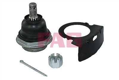 FAG 825 0423 10 EAN: 4014870621704.