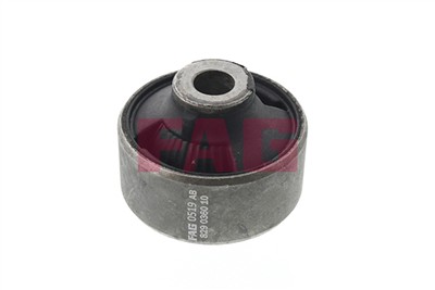 FAG 829 0360 10 EAN: 4014870413378.