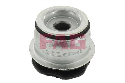 FAG 829 0487 10 EAN: 4014870422684.