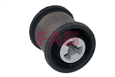 FAG 829 0629 10 EAN: 4014870643508.