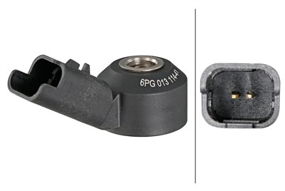 HELLA 6PG 013 114-411 EAN: 4082300850307.