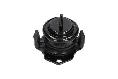 KAVO PARTS EEM-5525 EAN: 8715616195713.