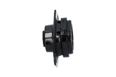 KAVO PARTS EEM-6595 EAN: 8715616235679.