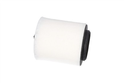 KAVO PARTS FAF-10107 EAN: 8715616436809.