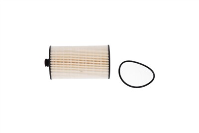 KAVO PARTS FFF-10155 EAN: 8715616451017.