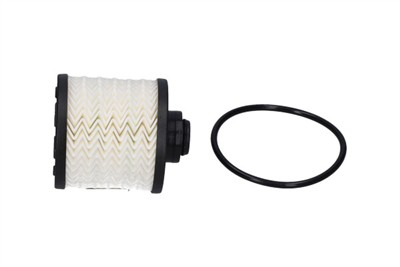 KAVO PARTS FFF-10317 EAN: 8715616452519.