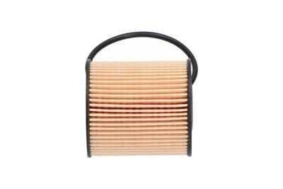 KAVO PARTS MO-447 EAN: 8715616083645.