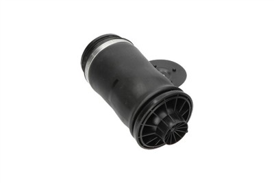 KAVO PARTS SAS-10010 EAN: 8715616365840.