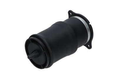 KAVO PARTS SAS-10053 EAN: 8715616366274.