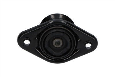 KAVO PARTS SSM-10117 EAN: 8715616350259.