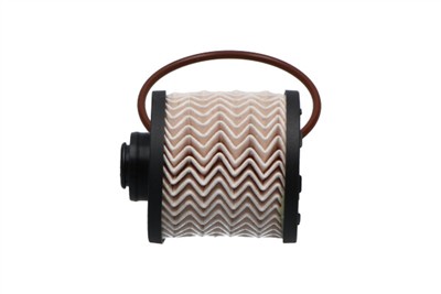 KAVO PARTS TF-1558 EAN: 8715616322614.