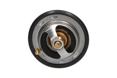 KAVO PARTS TH-5503 EAN: 8715616045124.