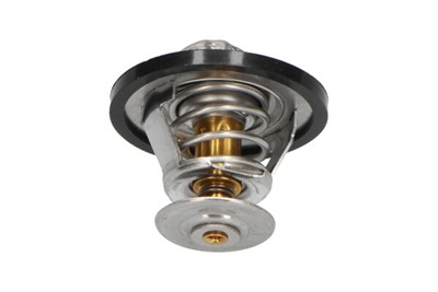 KAVO PARTS TH-9009 EAN: 8715616045360.