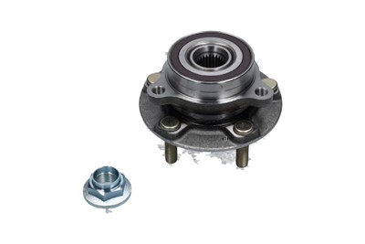 KAVO PARTS WBK-10117 EAN: 8715616458863.