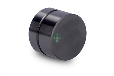 INA 420 0022 10 EAN: 4005108093790.