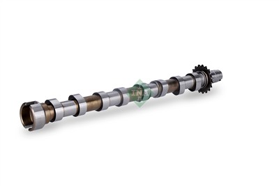 INA 428 0160 10 EAN: 4014870338619.