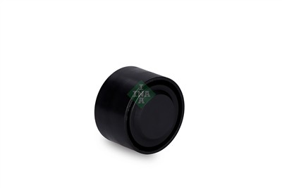 INA 532 0659 10 EAN: 4005108829719.