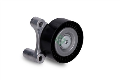 INA 532 1002 10 EAN: 4014870613136.