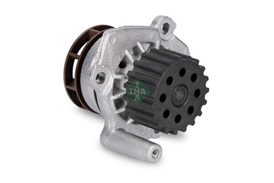 INA 538 0060 10 EAN: 4005108827845.