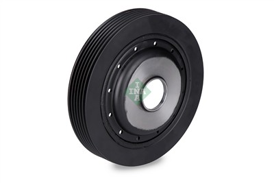 INA 544 0091 10 EAN: 4005108892430.